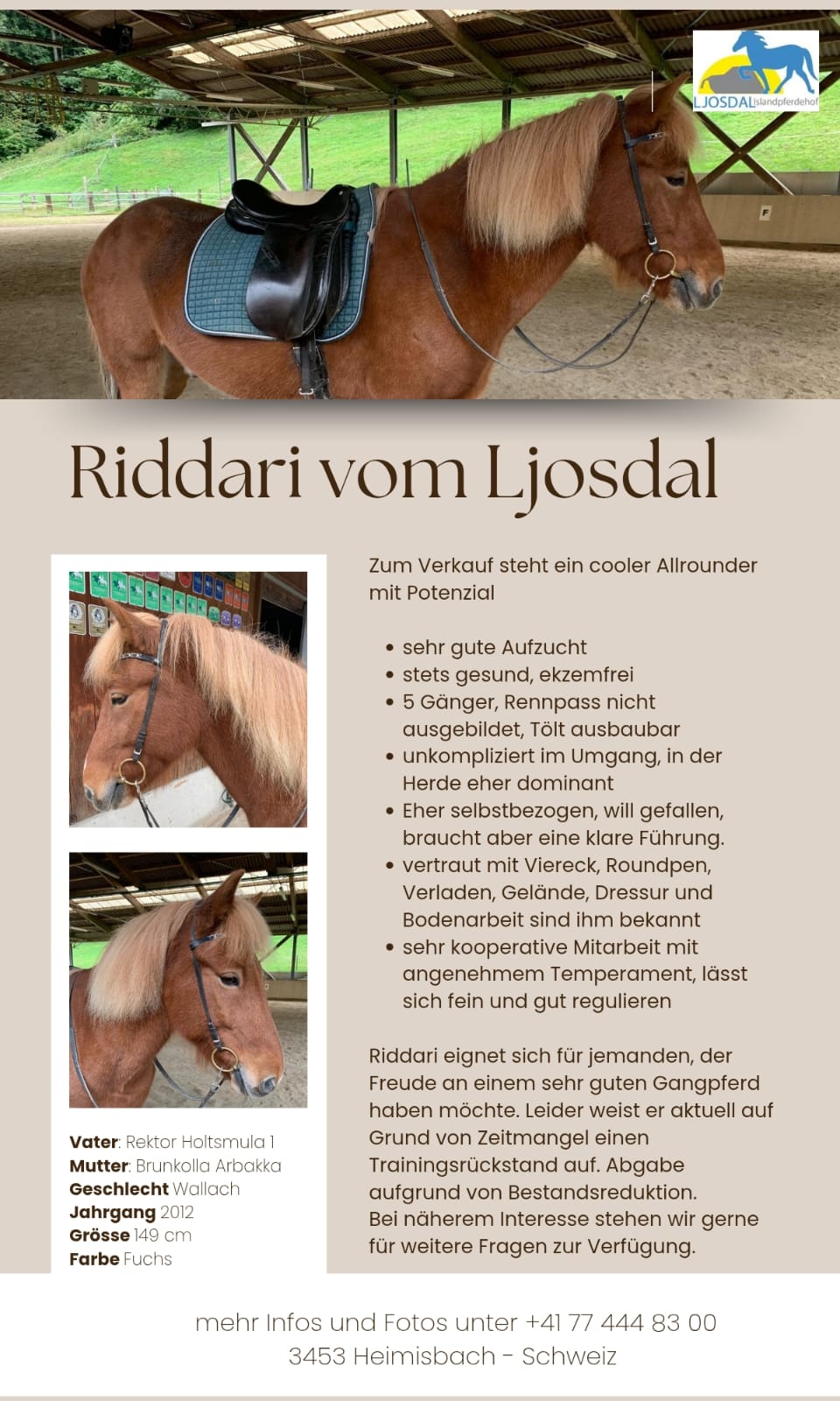 Riddari