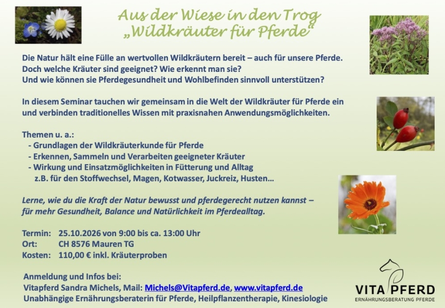 Seminar Wildkrauter S.Burgermeister 25.10.2026
